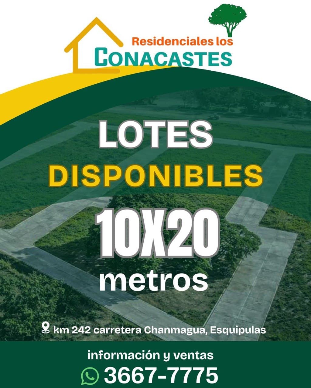 Lotes disponibles