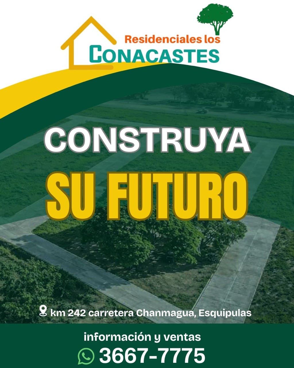 Construya su futuro